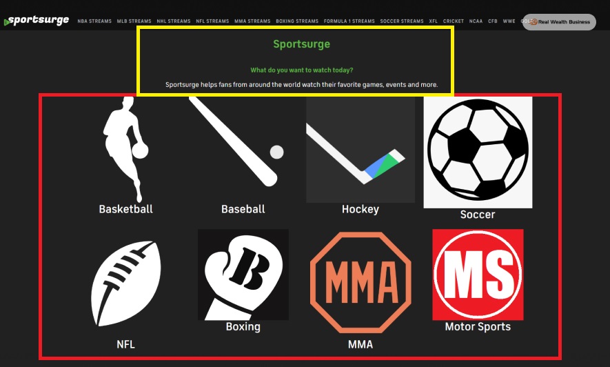 Sportsurge
